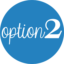  Option 2